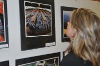 Značné pozornosti návštěvníků se těšila expozice čínského dědictví UNESCO, hlavně terakotová armáda prvního čínského císaře v Si-anu